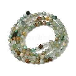 Natural African Jade Beads Strands&nbsp;G-L653-B04-3mm-01