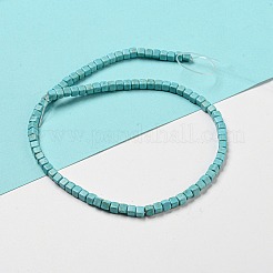Dyed Synthetic Turquoise Beads Strands&nbsp;G-G075-B02-03