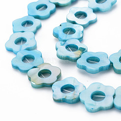 Freshwater Shell Beads Frames Strands&nbsp;SHEL-T009-14B