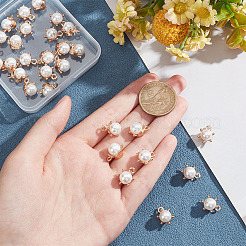 シェルパールラウンドチャーム  合金クラウンと  ライトゴールド  14.5x10.5x6mm  穴：2mm&nbsp;PALLOY-AB00020