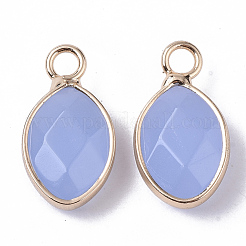 Glass Pendants&nbsp;G-S359-020