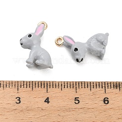 Alloy Enamel Pendants&nbsp;AL-CBAC5EF-03G-02