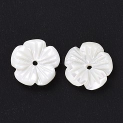 Natural Trochid Shell/Trochus Shell Beads&nbsp;SHEL-P014-02B