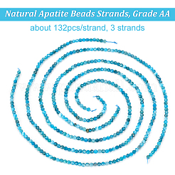3 Strands Natural Apatite Beads Strands&nbsp;G-OC0004-69