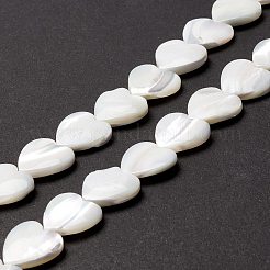Natural Trochid Shell/Trochus Shell Beads&nbsp;SSHEL-O001-27D