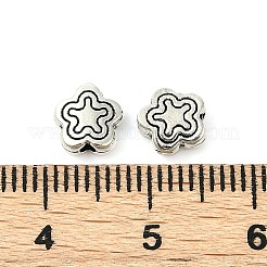 Tibetan Style Alloy Beads&nbsp;LF10690Y