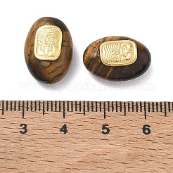 Natural Tiger Eye Oval Beads&nbsp;GG-D002-08G