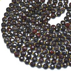 Natural Brecciated Jasper Beads Strands&nbsp;G-K389-B38-01