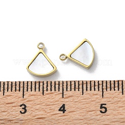 Ion Plating(IP) 304 Stainless Steel Charms&nbsp;STAS-Z099-02G-01