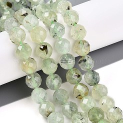 Natural Prehnite Beads Strands&nbsp;G-S345-10mm-28