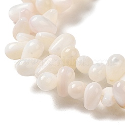 Natural Freshwater Beads Strands&nbsp;SHEL-K006-36