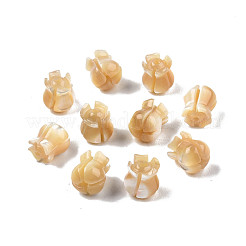 Natural Trochid Shell/Trochus Shell Beads&nbsp;SSHEL-N003-145A-A01