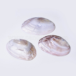 Natural Freshwater Pearl Shell Decoration&nbsp;SHEL-K002-01A