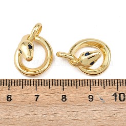 Brass with Cubic Zirconia Pendants&nbsp;KK-L251-64G