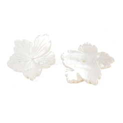 天然の白い貝殻の彫刻ビーズ  花  貝殻色  20x18.5x2.5mm  穴：1mm&nbsp;SSHEL-B006-06