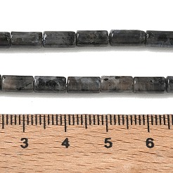 天然ラルビカイトビーズ連売り  コラム  8x4mm  穴：1mm  約49個/連  15.35''（39センチメートル）&nbsp;G-B091-A20-01