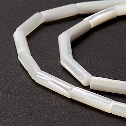 天然トロチッドシェル/トロカスシェルビーズ  ストレートチューブ  貝殻色  14x3.5~4mm  穴：0.8mm  約29個/連  15.98インチ（40.6cm）&nbsp;SSHEL-O001-26B