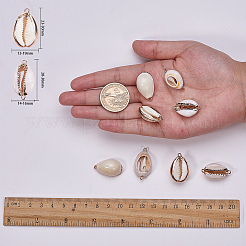 Electroplate Cowrie Shell Links&nbsp;SSHEL-SC0001-01G
