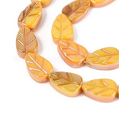 Natural Freshwater Shell Carved Beads Strands&nbsp;SHEL-N038-25F