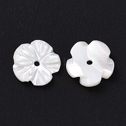 Natural Trochid Shell/Trochus Shell Beads&nbsp;SHEL-P014-02A