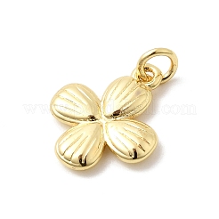 Brass Pendants&nbsp;KK-Z135-13B-G