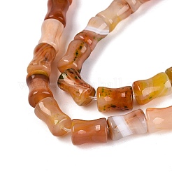 Natural Agate Beads Strands&nbsp;G-Q606-61