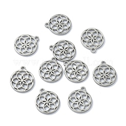 304 Stainless Steel Charms&nbsp;STAS-CJC0008-21P