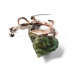 Snail Green Natural Conch Shell Fossil Brooch Pin&nbsp;JEWB-A020-01G-01