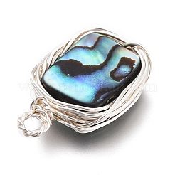 Natural Abalone Shell/Paua Shell Pendants&nbsp;PALLOY-JF00477-04