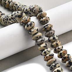 天然石ダルメシアンジャスパービーズ連売り  ソーサービーズ  10x5mm  穴：0.7mm  約40個/連  8.19''~8.54''（20.8~21.7センチメートル）&nbsp;G-P559-A01-02