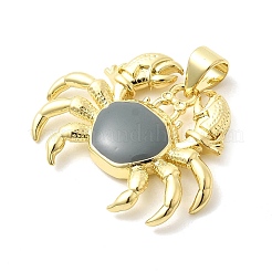 Brass Enamel Pendants&nbsp;KK-H529-44G