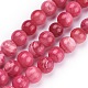 Shell Beads Strands&nbsp;BSHE-L041-07B-2