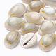 カウリーシェルビーズ  貝殻色  19~23x13~17x10~12mm  約340個/500g&nbsp;SSHEL-T004-04-1