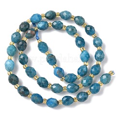 Natural Apatite Beads Strands&nbsp;G-F809-A34-01