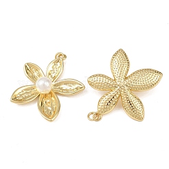 Brass Pendants&nbsp;KK-L255-23G-02