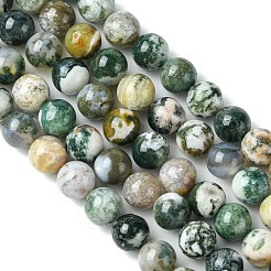 Natural Tree Agate Round Gemstone Beads Strands&nbsp;G-R255-8mm