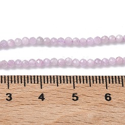 Natural Kunzite/Spodumene Beads Strands&nbsp;G-L651-C12-2mm-01