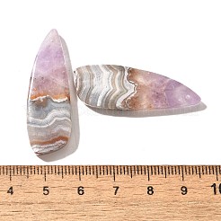 天然アメジストレースアゲートペンダント  ウイング  37.5~38x13x5mm  穴：1.2mm&nbsp;G-A244-07D
