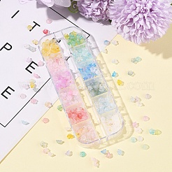 19.2G 12 Colors Frosted Transparent Acrylic Beads&nbsp;OACR-FS0002-18