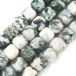 Natural Tree Agate Beads Strands&nbsp;G-C267-A18