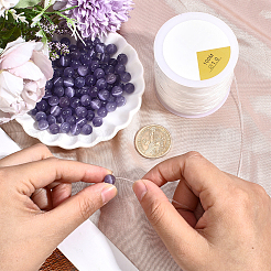 100M Round Elastic Crystal Thread&nbsp;EW-PA0001-04