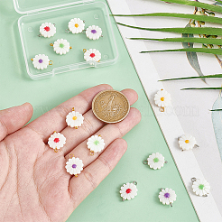 16Pcs Natural Freshwater Shell Pendants&nbsp;PALLOY-PH01720