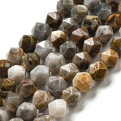 天然ゴビ瑪瑙ビーズ連売り  ファセットスターカットビーズ  8x8mm  穴：1mm  約45~46個/連  14.88''~15.04''（37.8~38.2センチメートル）&nbsp;G-NH0012-B03-02