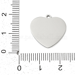 ステンレスペンダント201個  12つの星座のチャームが付いたハート  魚座  17.5x18x1mm  穴：1.4mm&nbsp;STAS-F316-40P-12