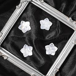 4Pcs Natural White Shell Mother of Pearl Shell Pendants&nbsp;SSHEL-YW0001-10