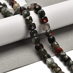 Natural African Bloodstone Beads Strands&nbsp;G-H078-C26-01