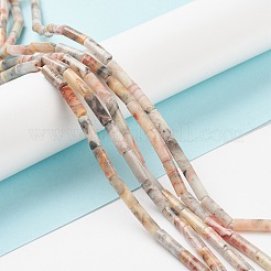 Natural Crazy Lace Agate Beads Strands&nbsp;X-G-F247-33