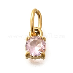 304 Stainless Steel Rhinestone Charms&nbsp;STAS-M109-06G