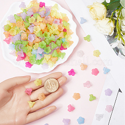500 個 10 色のアクリルビーズキャップ  5  - 花びらの花  ミックスカラー  10x13.5mm  穴：1.8mm  50個/カラー&nbsp;TACR-SP0001-08