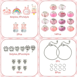 DIY Cartoon Resin & Alloy European Beads Bracelets Making Kits&nbsp;DIY-FS0007-21